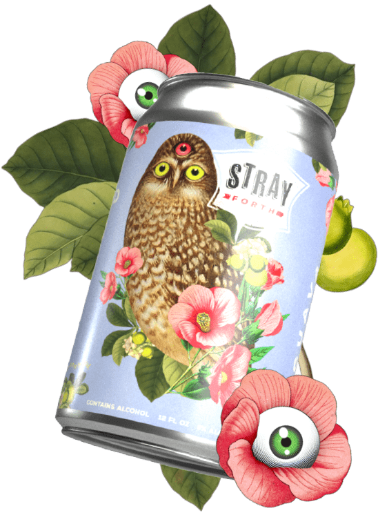 12oz can of Guava Hibiscus Clairvoyance