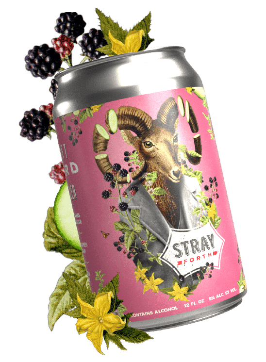 12oz can of Blackberry Cucumber Enchant-Mint