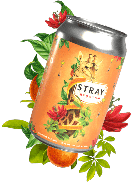 12oz can of Tangerine Passionfruit Safari