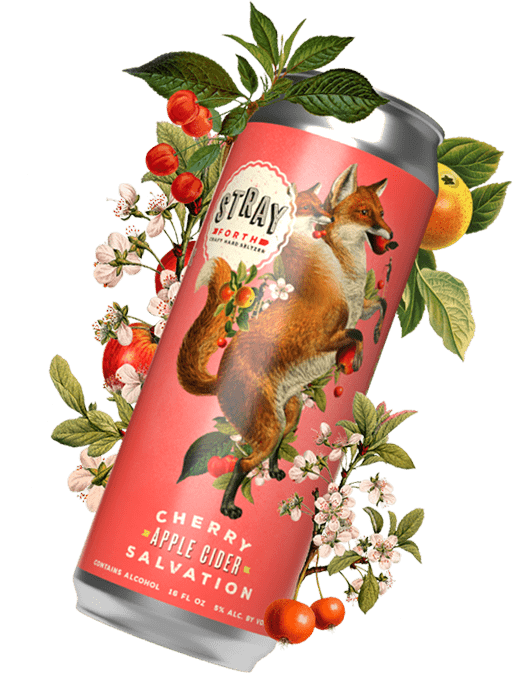 16oz can of Cherry Apple Cider Salvation